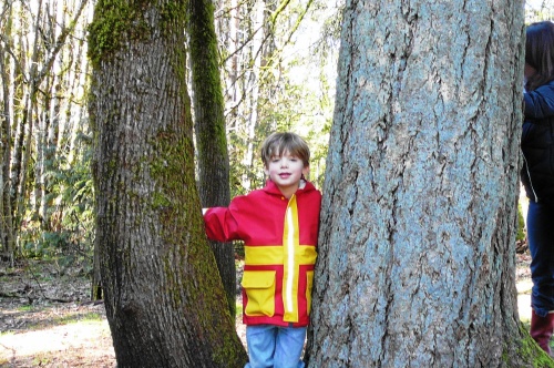 boy and trees